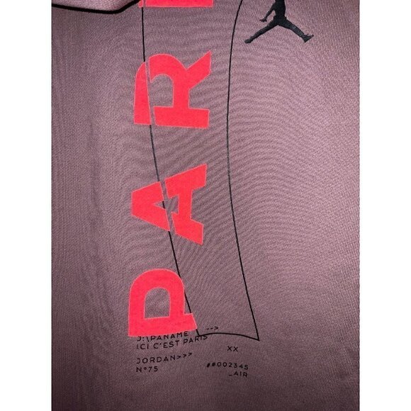 Nike Paris Saint-Germain Pullover Hoodie Men’s size Large - Picture 7 of 11